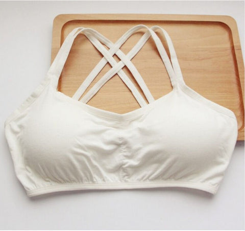 Underwear Half Hollow Back Push Up Bra